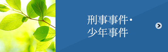 刑事事件・少年事件